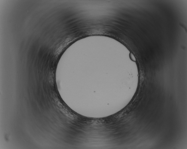 X0000103300345200809261319