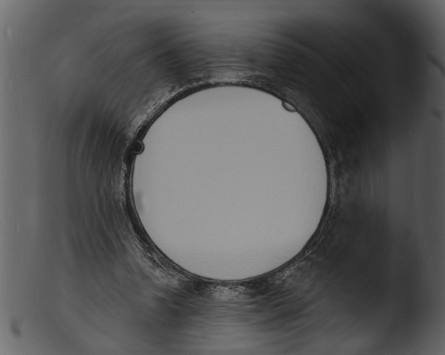 X0000103300346200809261319