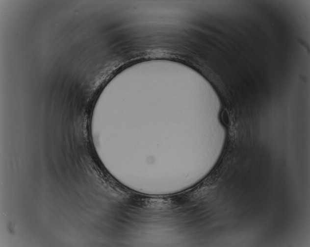 X0000103300347200809261319