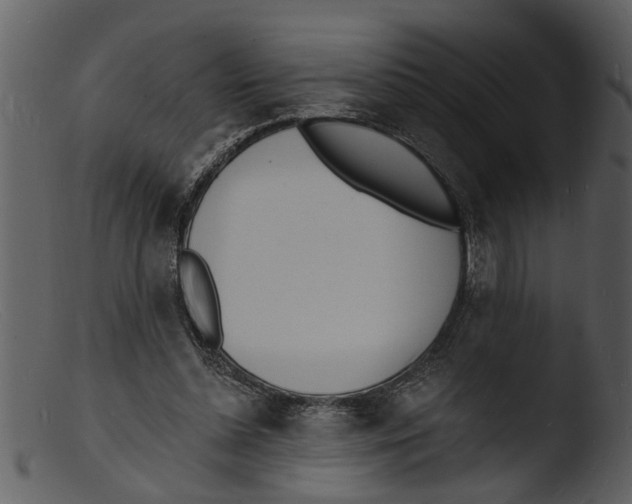 X0000103300348200809261319