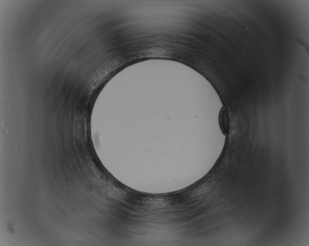 X0000103300349200809261319