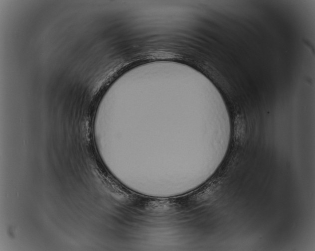 X0000103300351200809261319