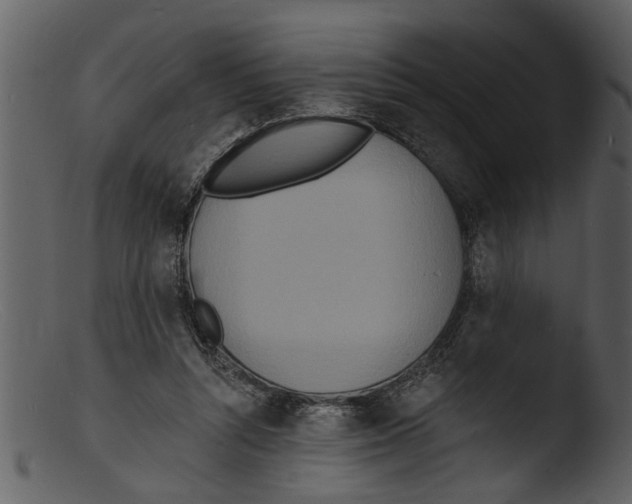 X0000103300352200809261319