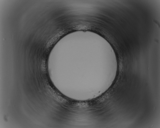 X0000103300353200809261319