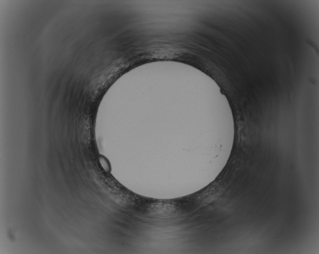 X0000103300354200809261319