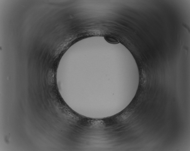 X0000103300355200809261319