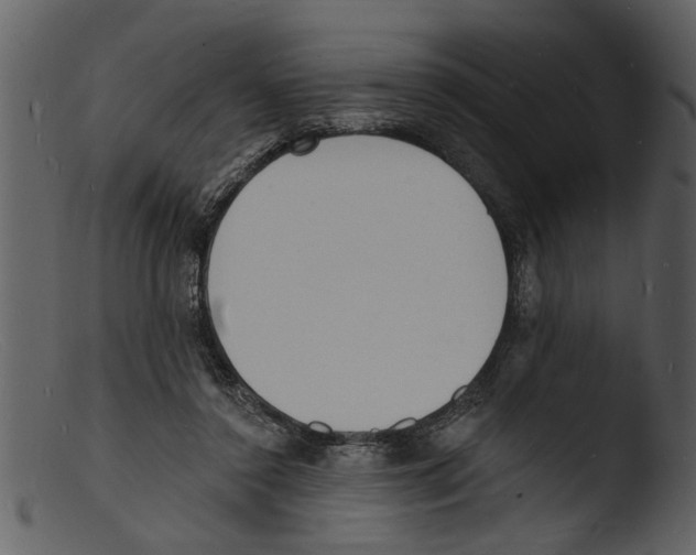 X0000103300356200809261319