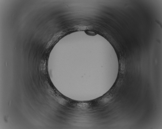 X0000103300357200809261319
