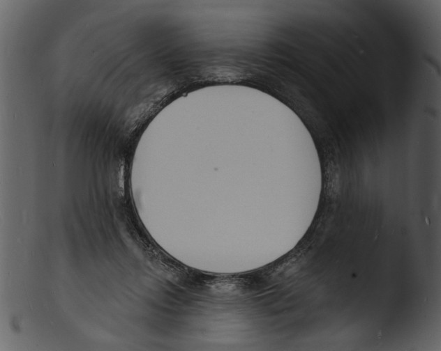 X0000103300358200809261319