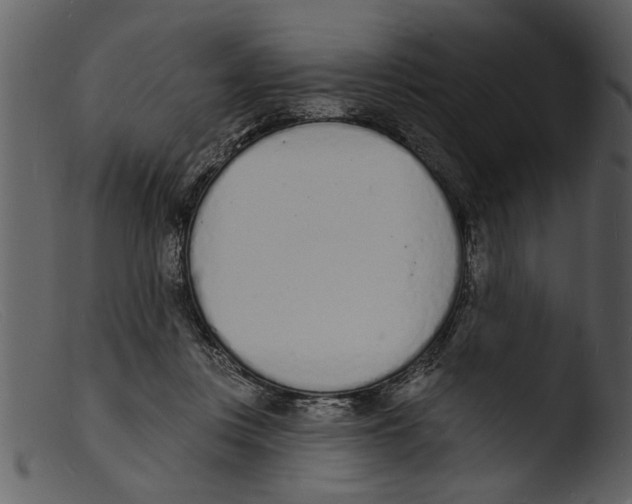 X0000103300359200809261319