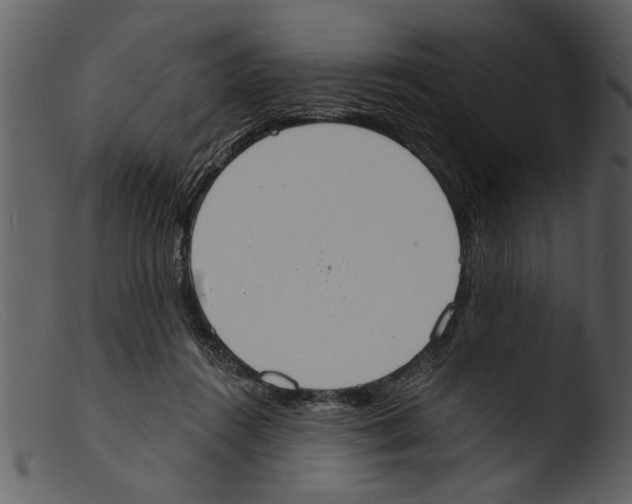 X0000103300360200809261319