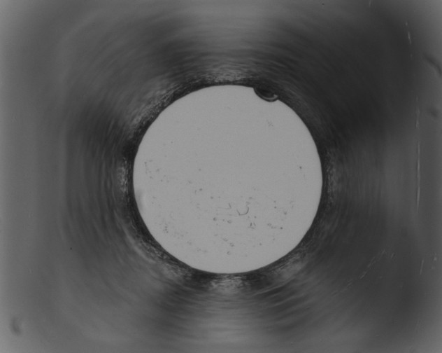 X0000103300362200809261319