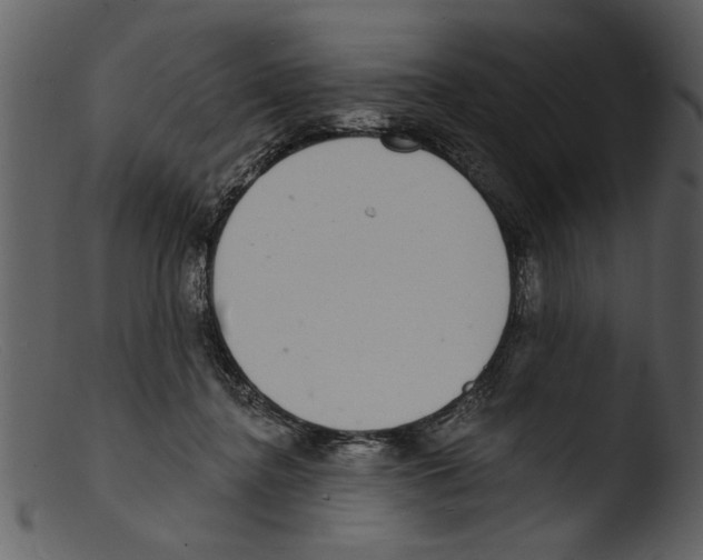 X0000103300364200809261319