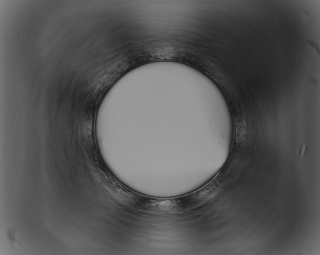 X0000103300365200809261319