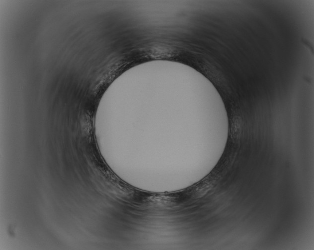 X0000103300367200809261319