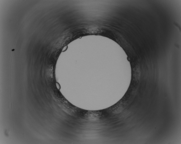 X0000103300368200809261319