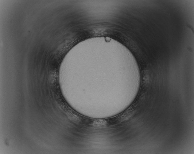 X0000103300369200809261319