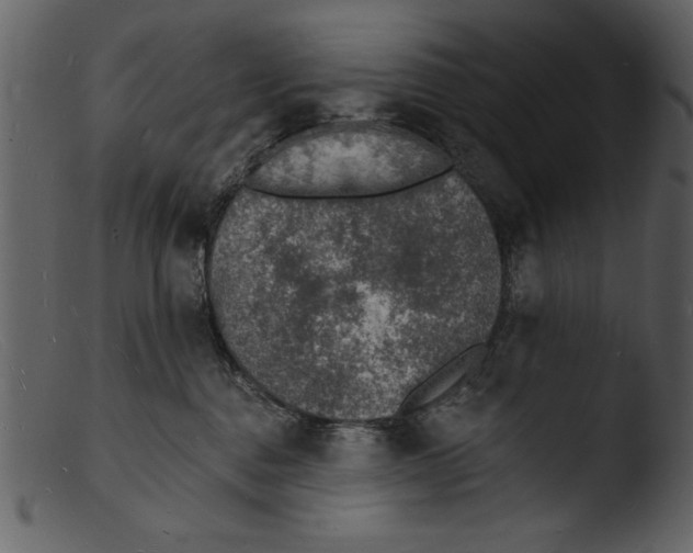 X0000103300376200809261319