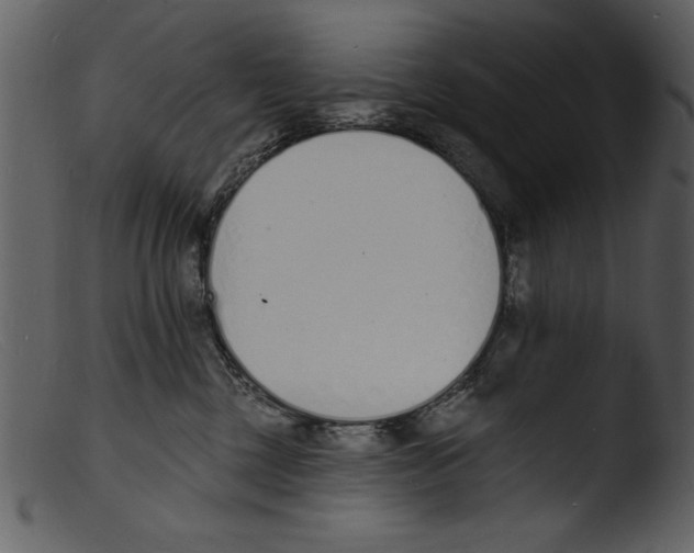 X0000103300377200809261319