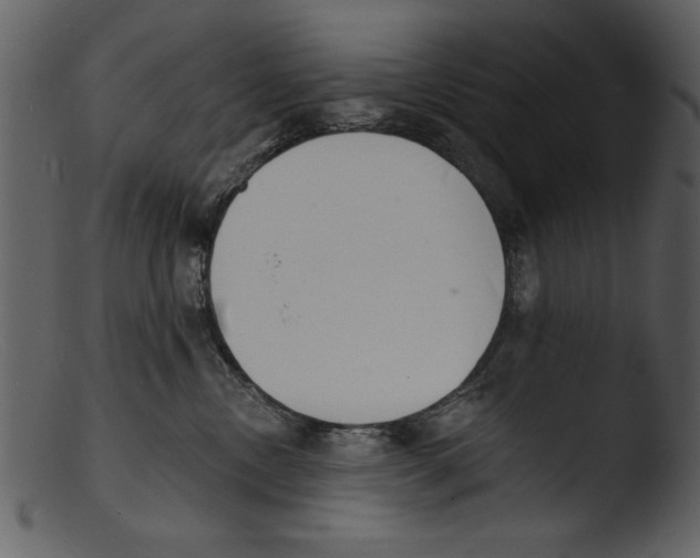 X0000103300378200809261319