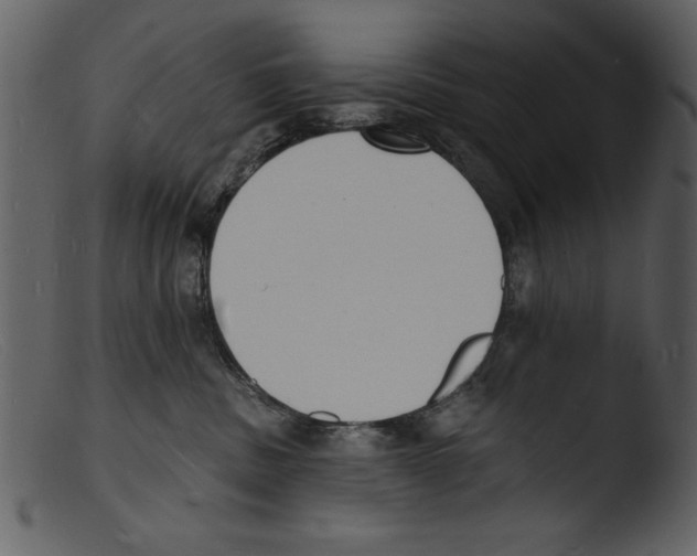 X0000103300379200809261319