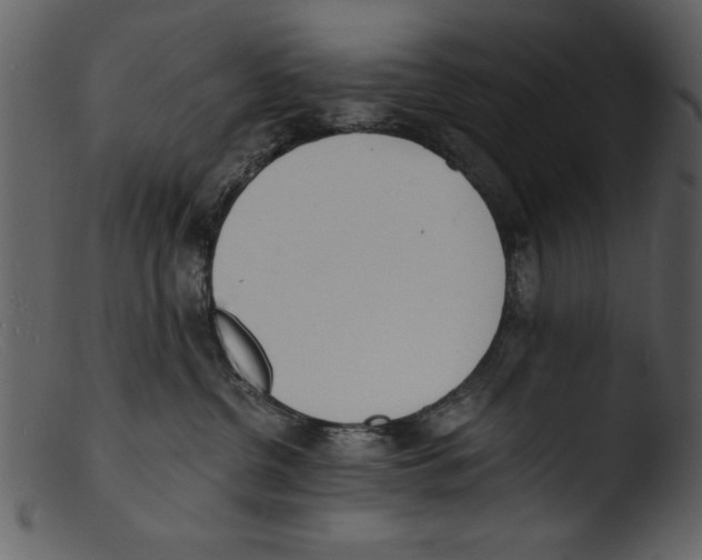 X0000103300380200809261319