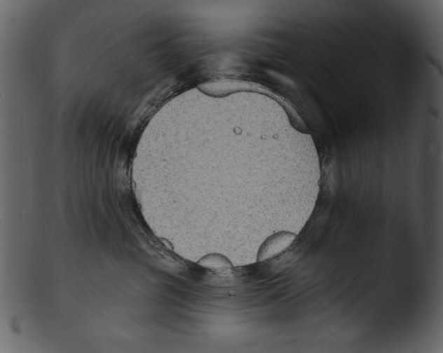 X0000103300381200809261319