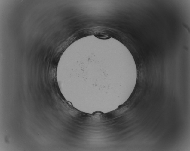 X0000103300382200809261319