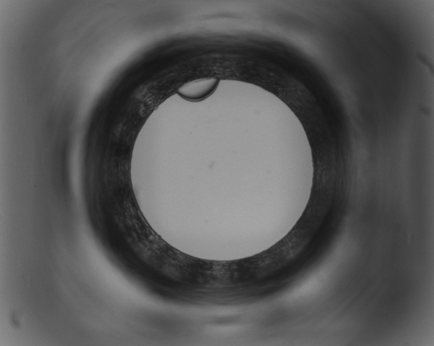 X0000103300383200809261319