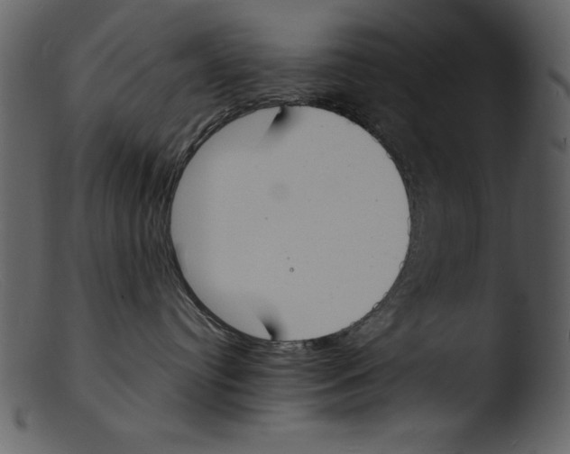 X0000103300384200809261319