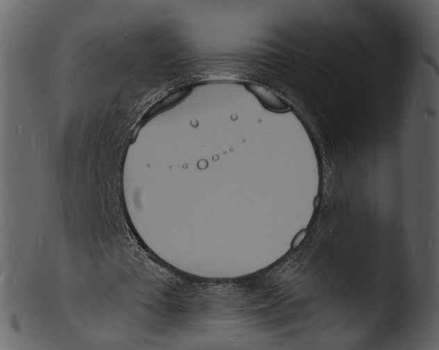 X0000103300385200809261319