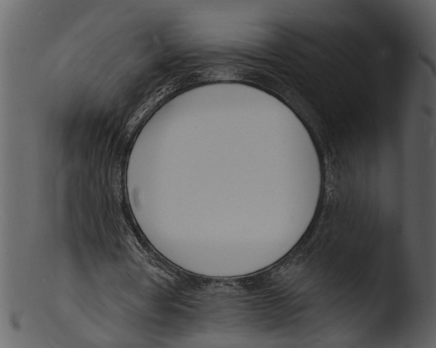 X0000103300386200809261318