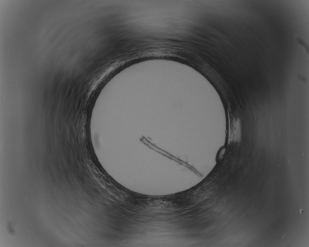 X0000103300387200809261318