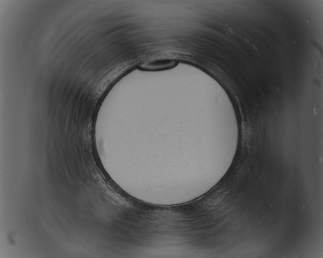 X0000103300389200809261318