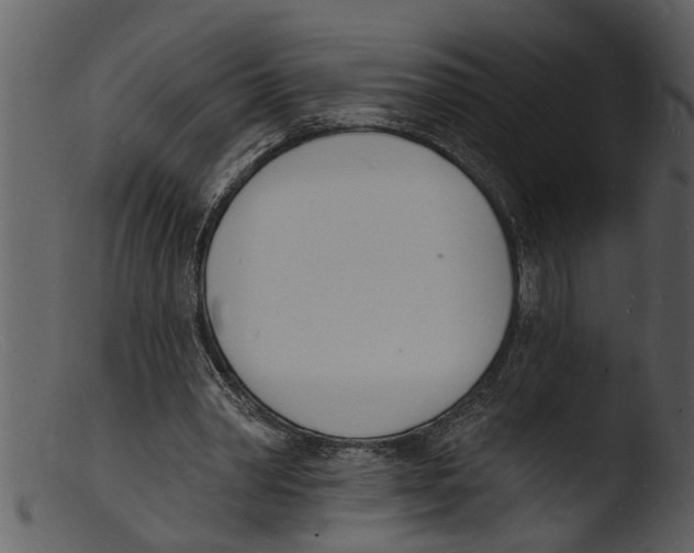 X0000103300390200809261318