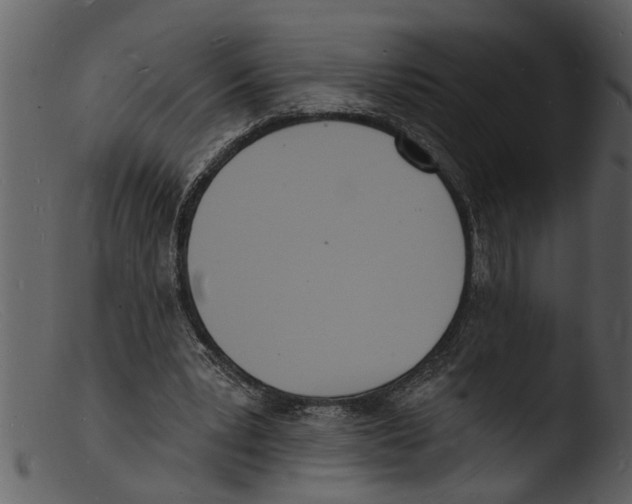 X0000103300391200809261318