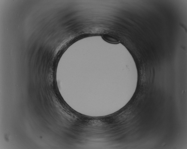 X0000103300392200809261318