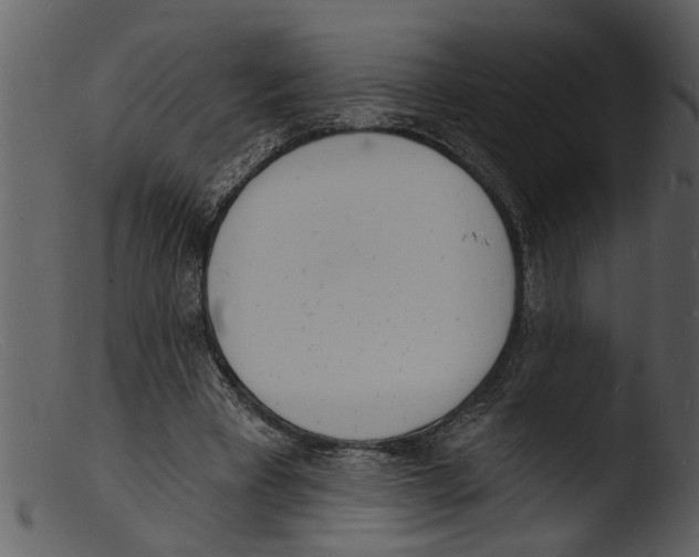 X0000103300393200809261318