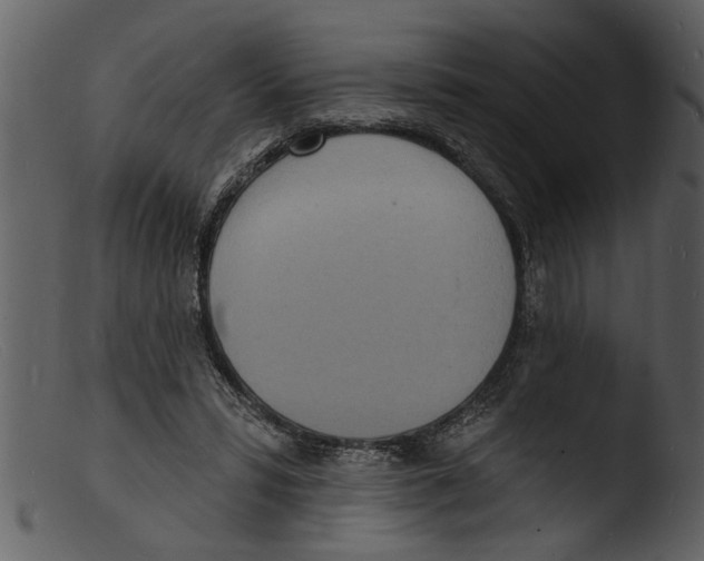 X0000103300399200809261318