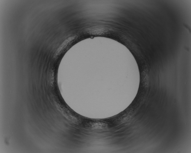 X0000103300400200809261318