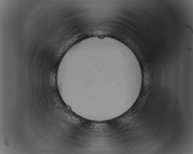 X0000103300401200809261318
