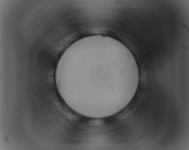 X0000103300402200809261318