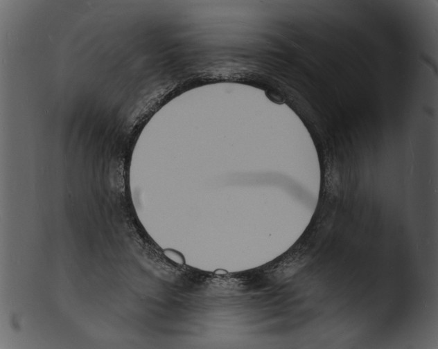 X0000103300403200809261318