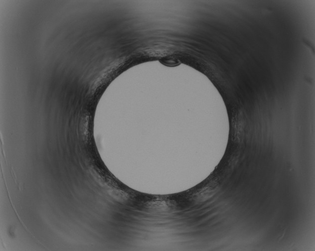 X0000103300404200809261318