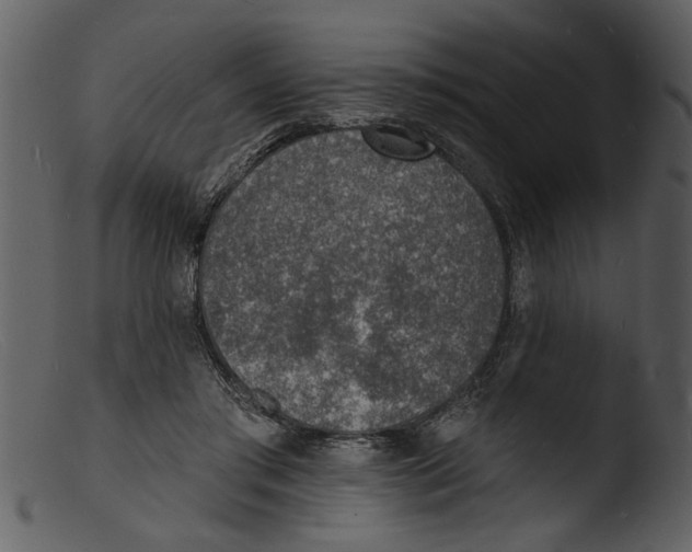 X0000103300405200809261318
