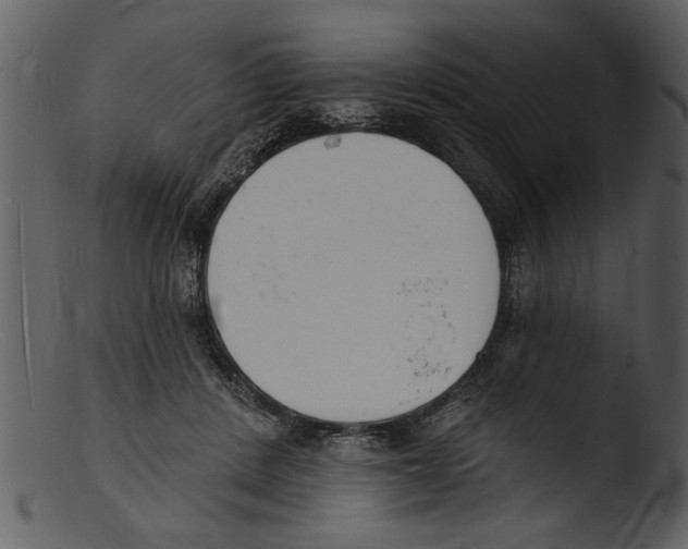 X0000103300408200809261318