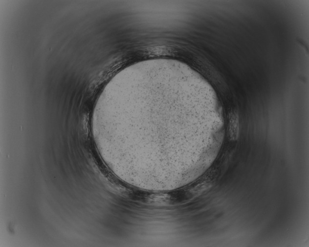 X0000103300410200809261318
