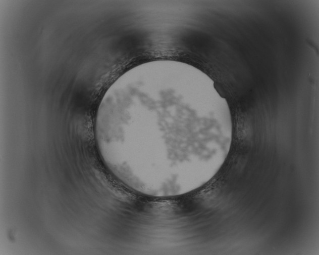 X0000103300411200809261318