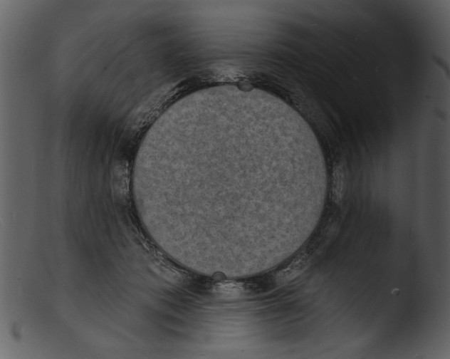 X0000103300413200809261318