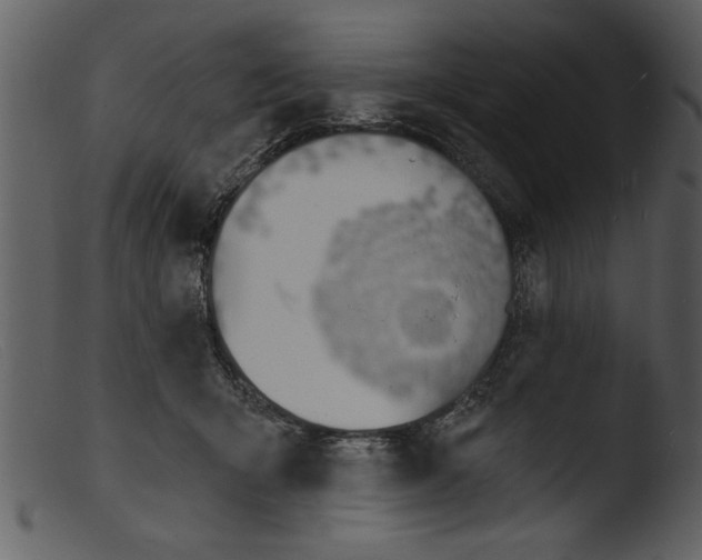 X0000103300415200809261318